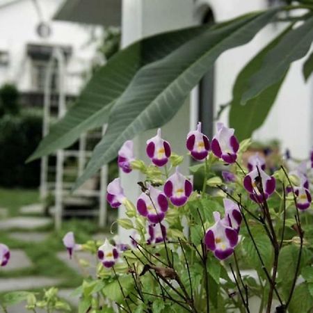 Hasayaki Homestay Санксінг Екстер'єр фото
