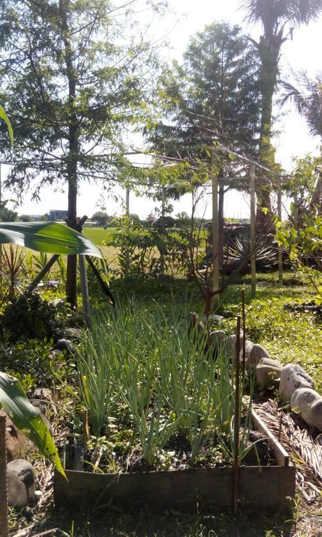 Hasayaki Homestay Санксінг Екстер'єр фото